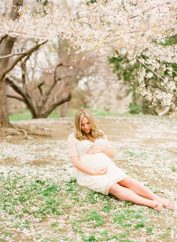 cherry blossom maternity session